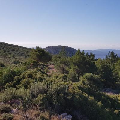 sortie Pichauris