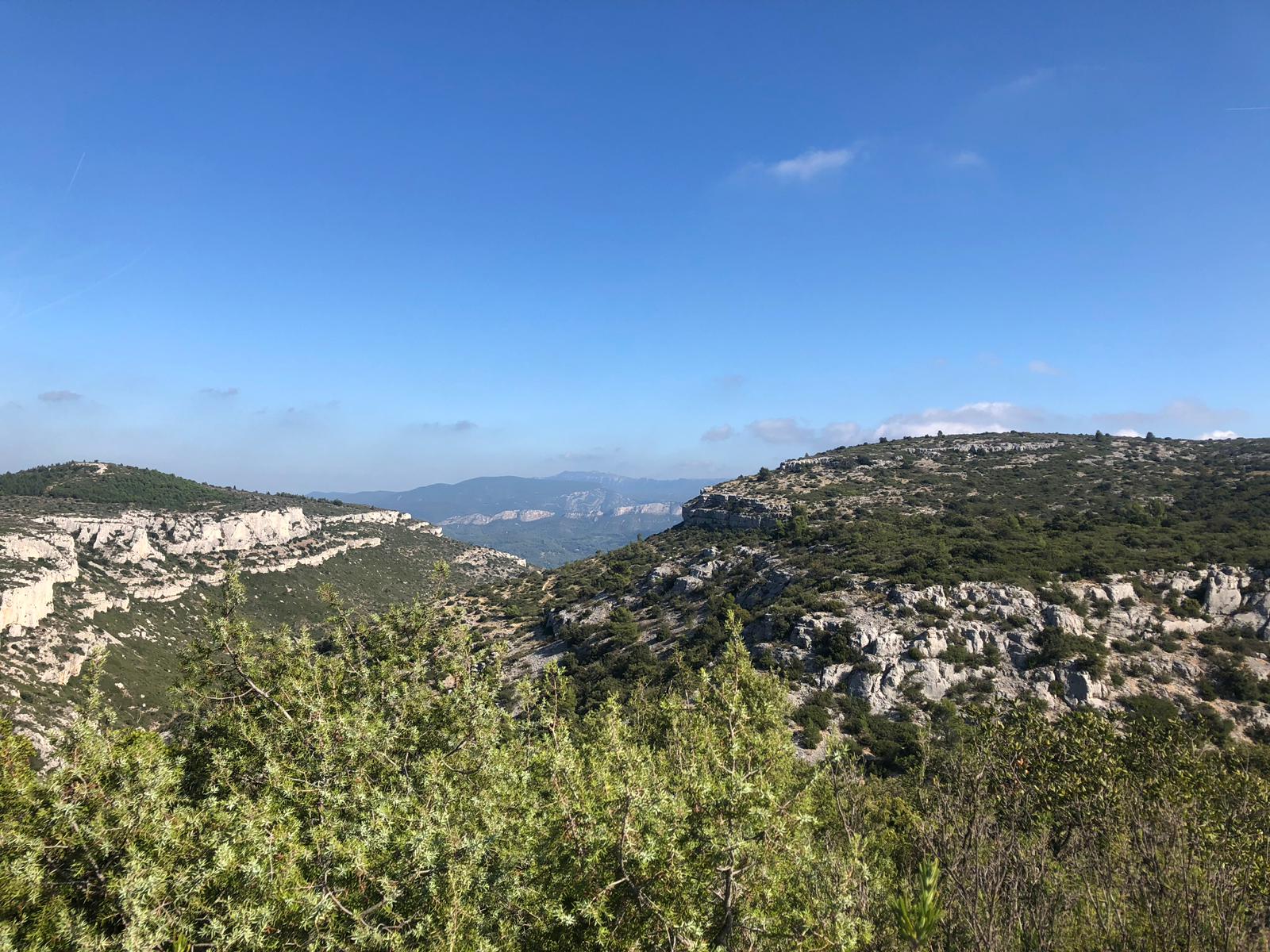 sortie Pichauris