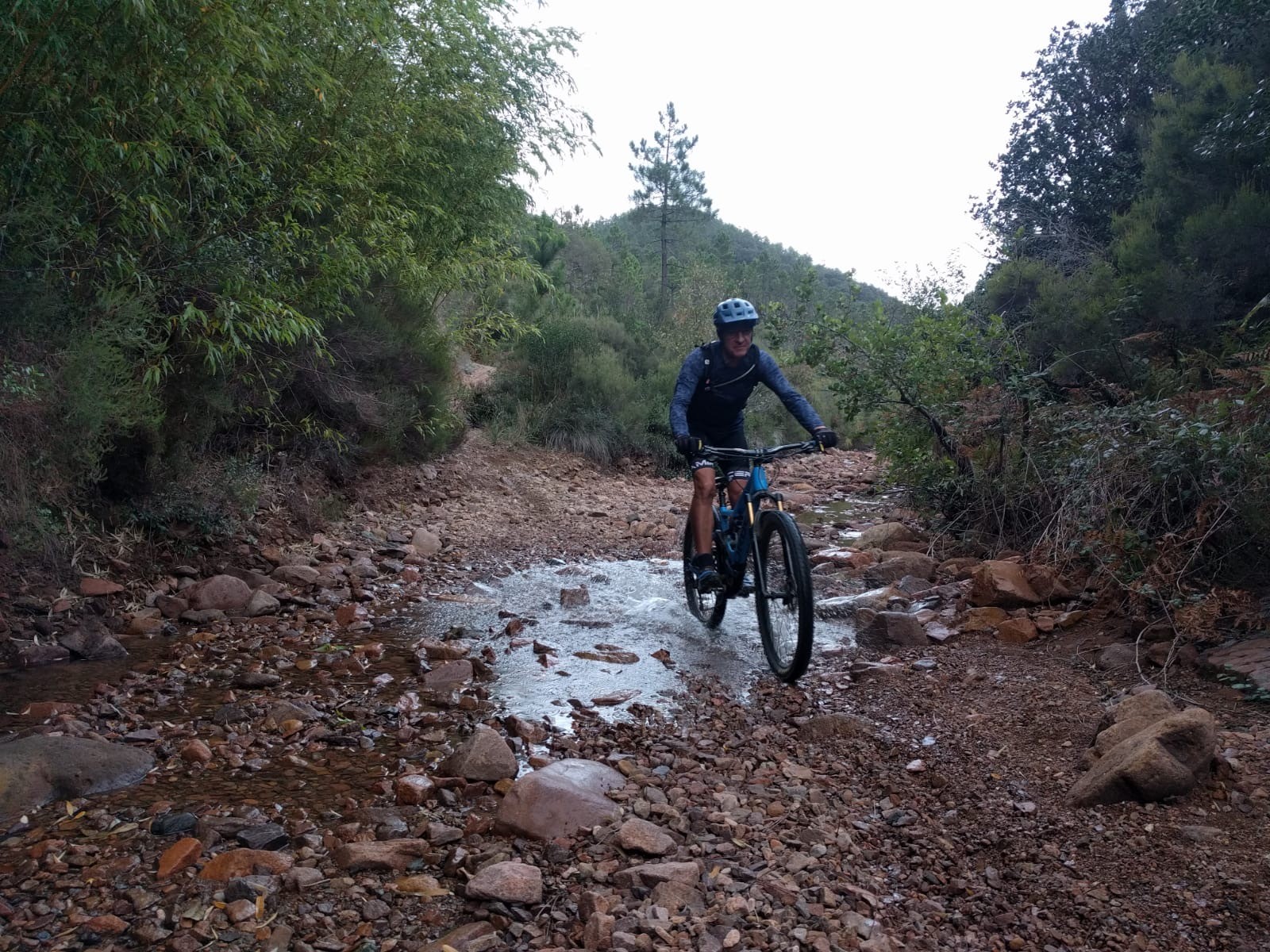 ESTEREL 2020