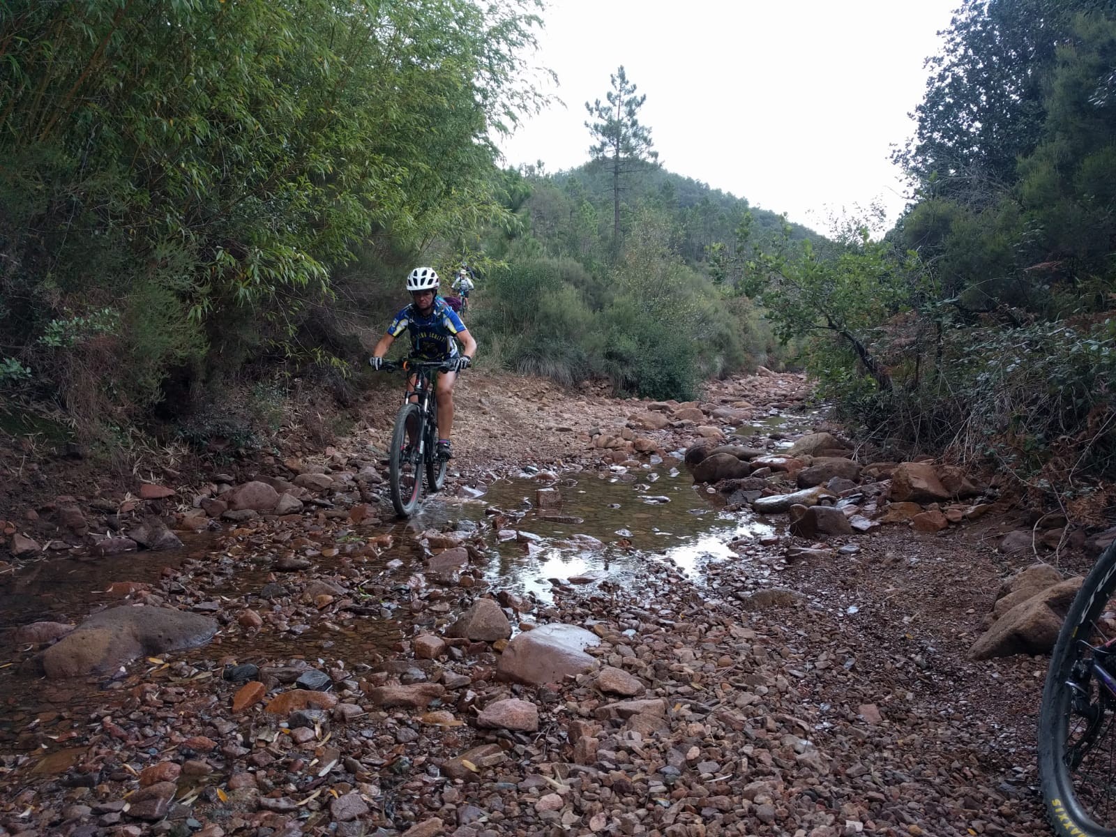 ESTEREL 2020