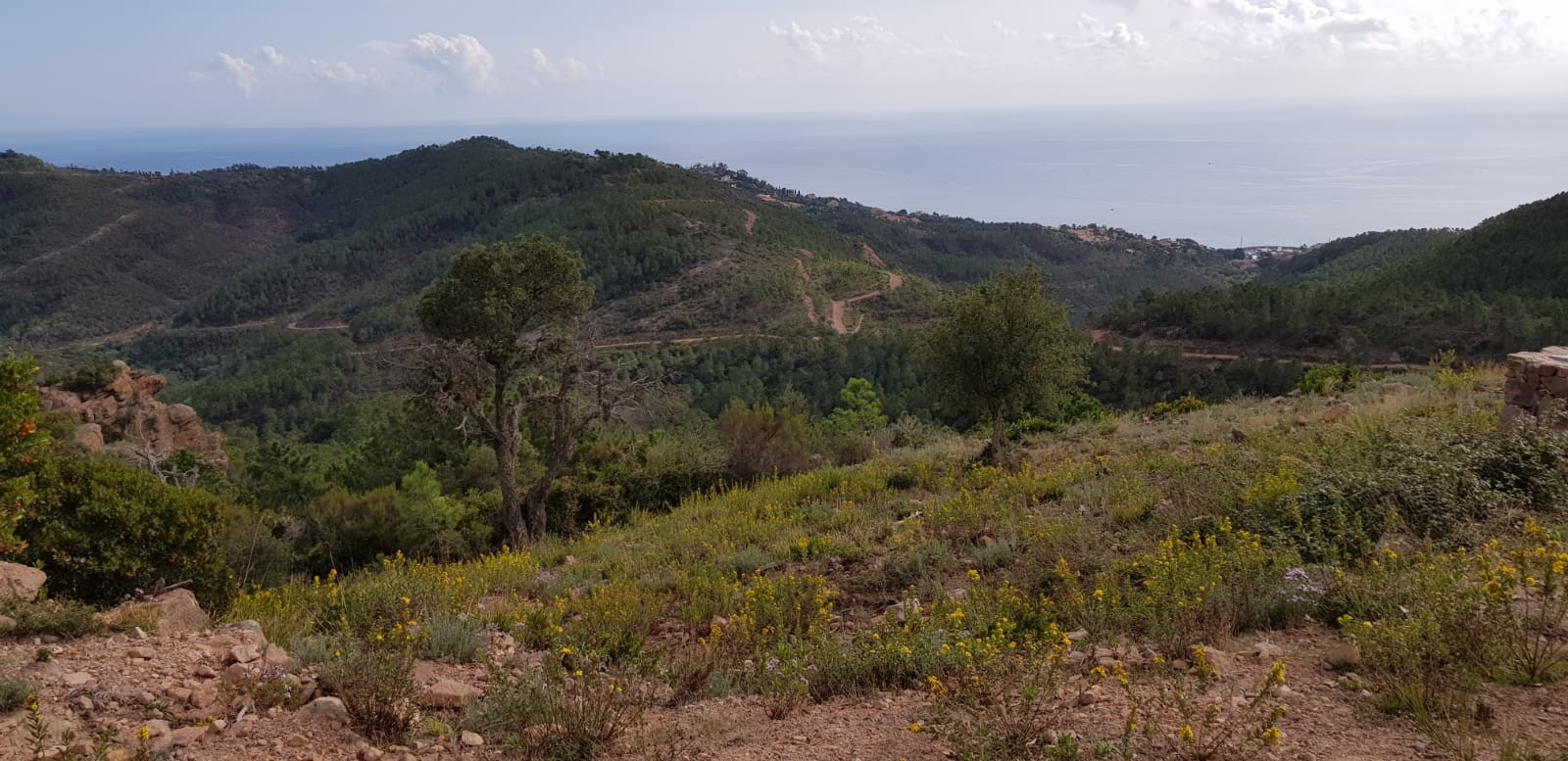 ESTEREL 2020