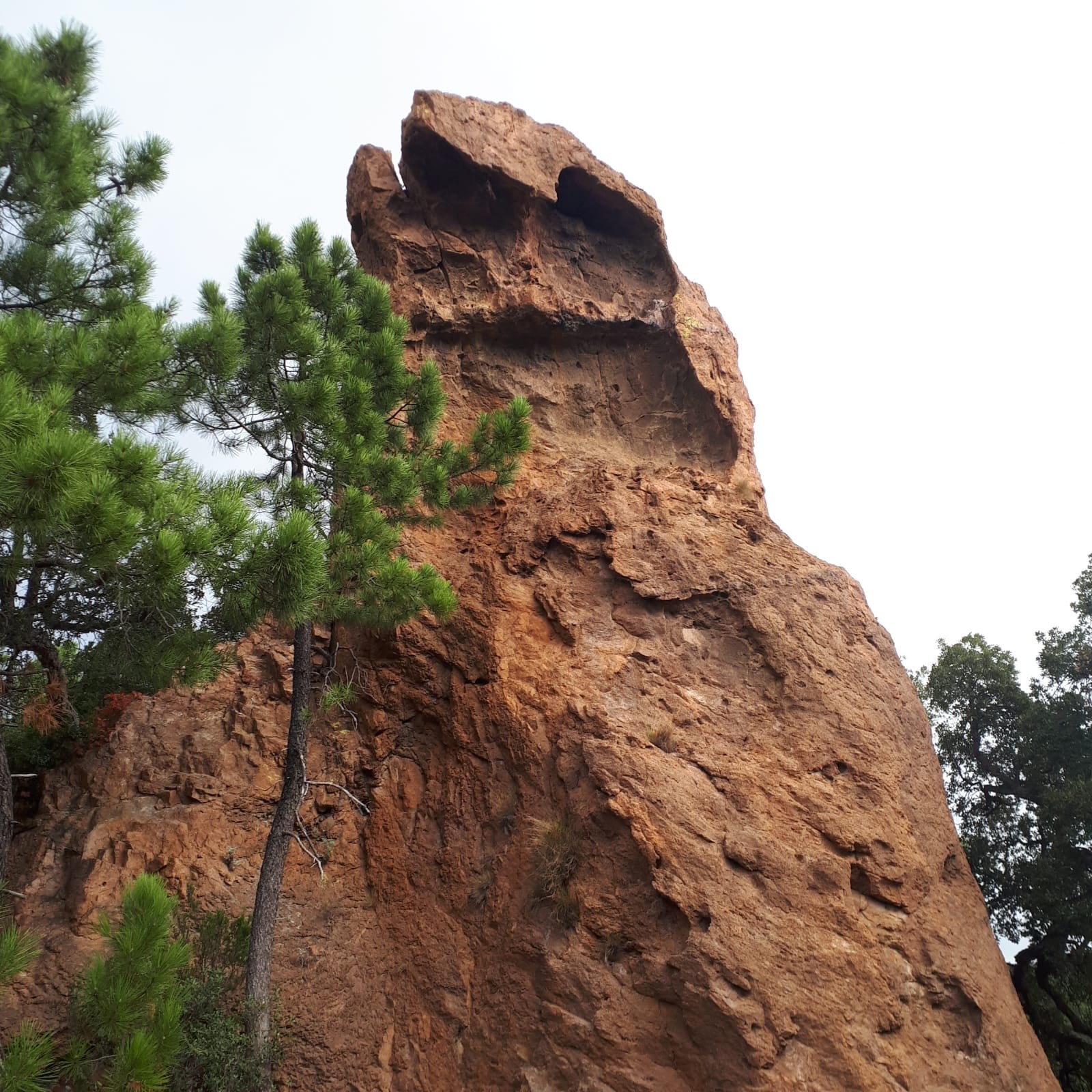 ESTEREL 2020