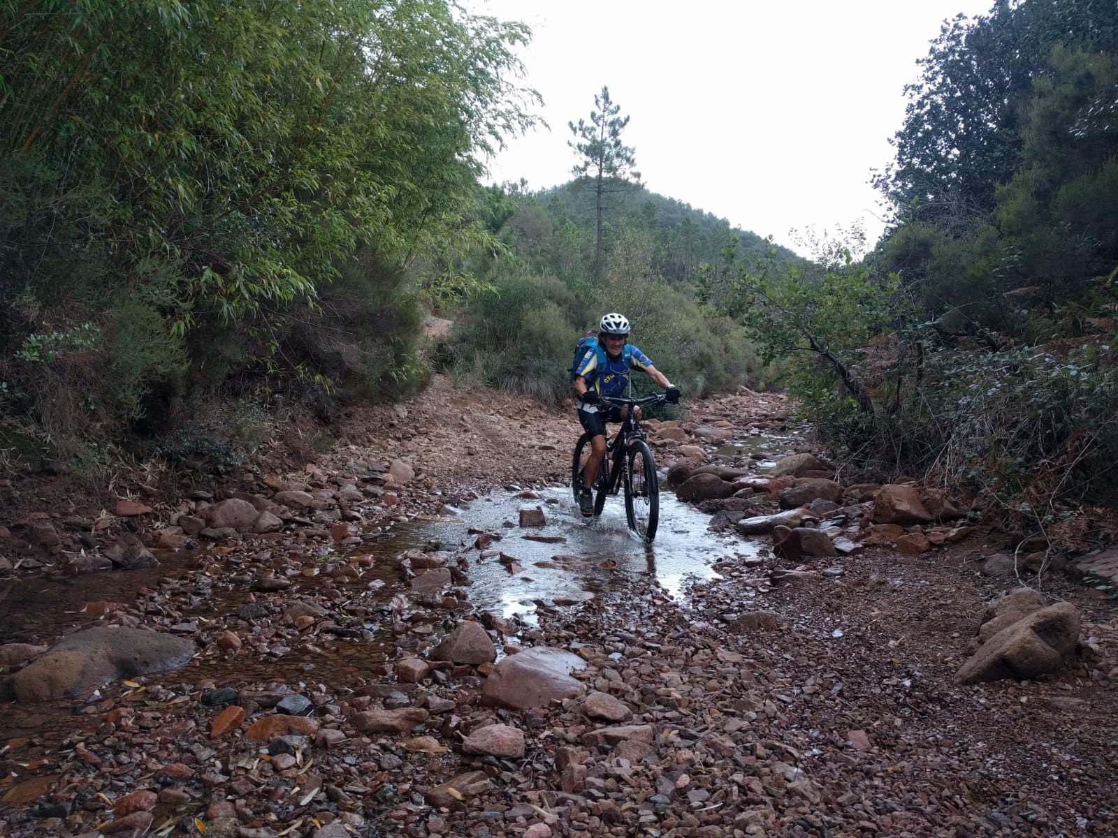 ESTEREL 2020